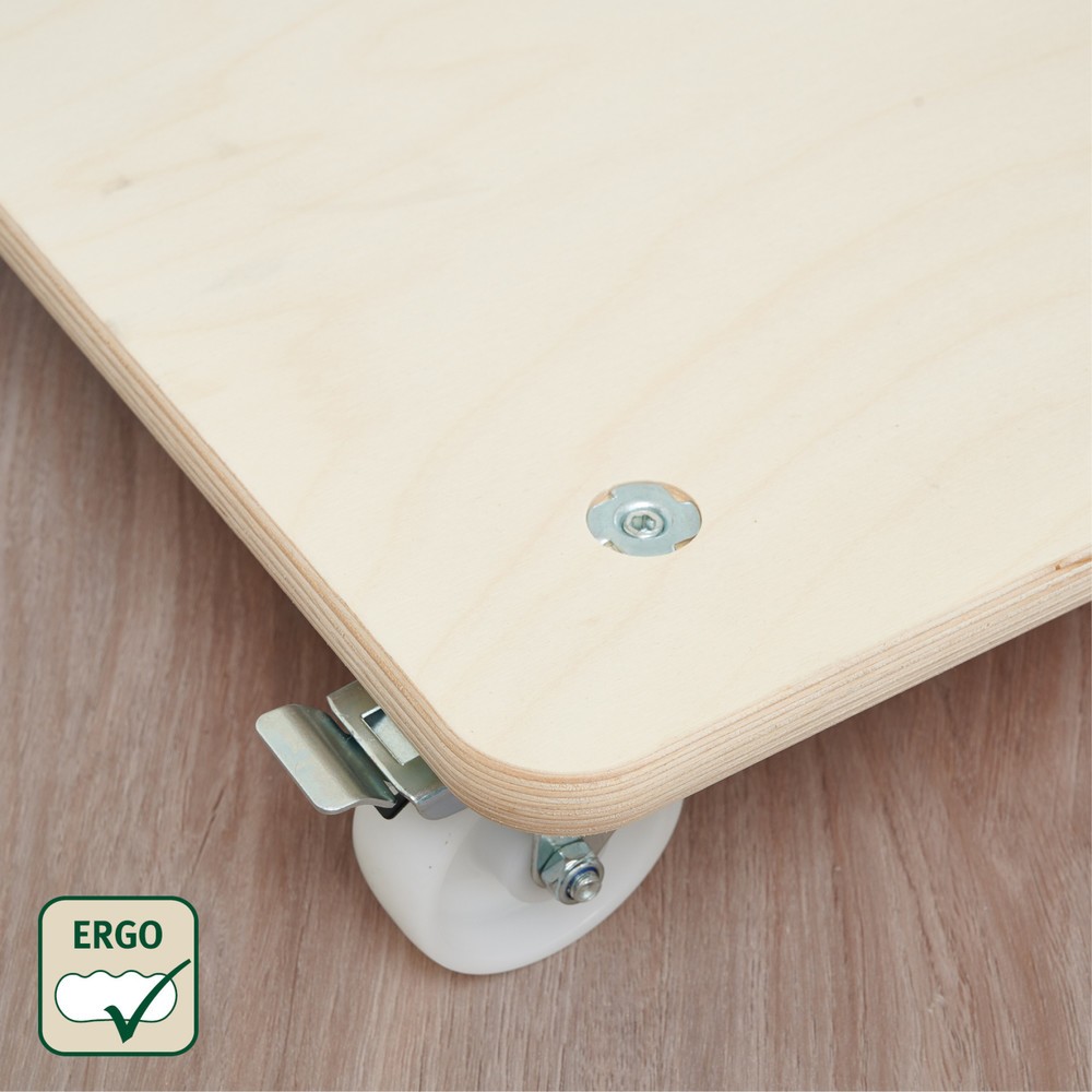 Produktabbildung Nr. 3: WAGNER Transporthilfe BIRKE Multiplex - 59 x 49 x 11 cm, TK 250 Kg