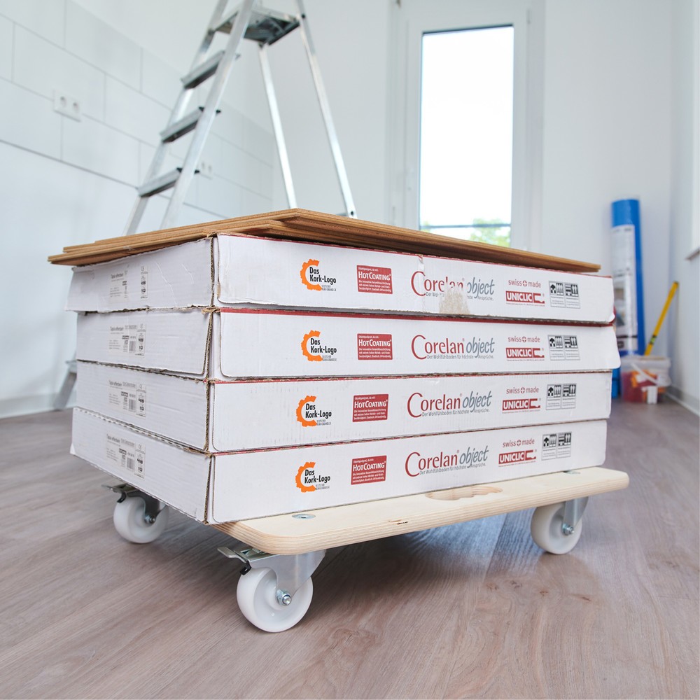 Produktabbildung Nr. 6: WAGNER Transporthilfe BIRKE Multiplex - 59 x 49 x 11 cm, TK 250 Kg