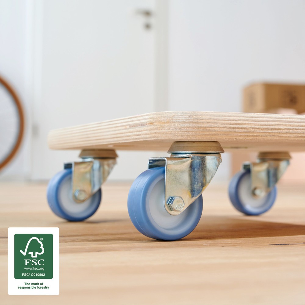Produktabbildung Nr. 4: WAGNER Transporthilfe BIRKE Multiplex - 29 x 29 x 8,5 cm, TK 250 Kg