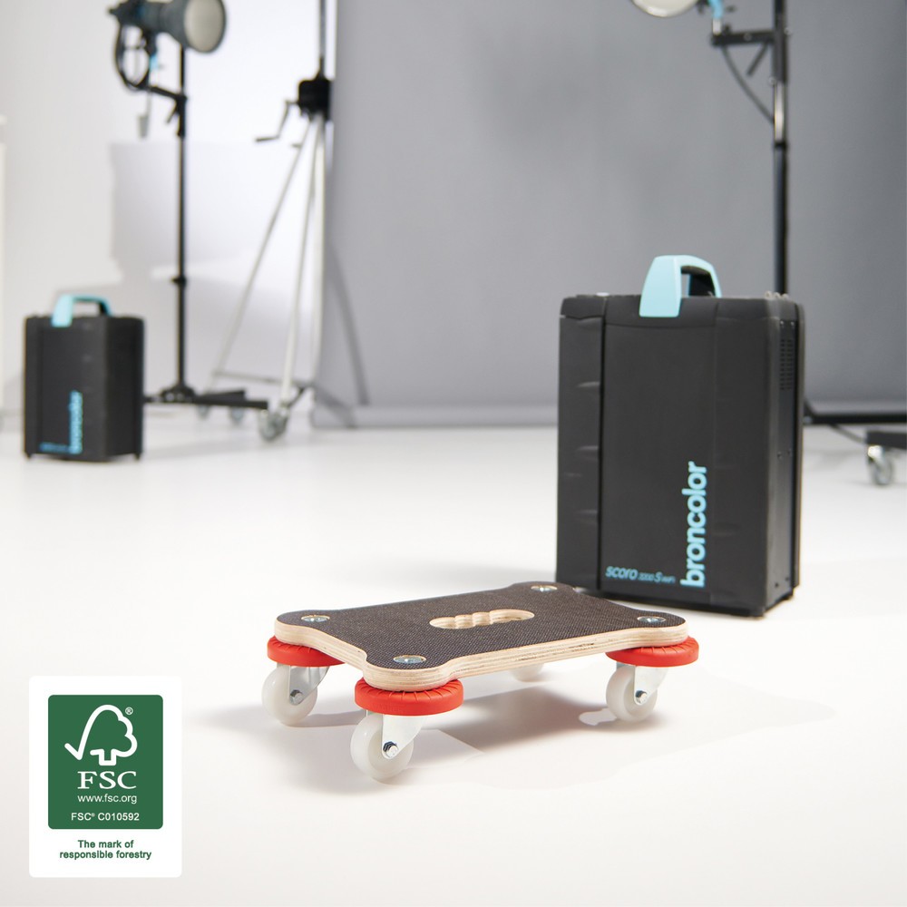 Produktabbildung Nr. 5: WAGNER Transporthilfe MAXIGRIP PROTECTION- 33 x 23 x 9 cm, TK 200 Kg