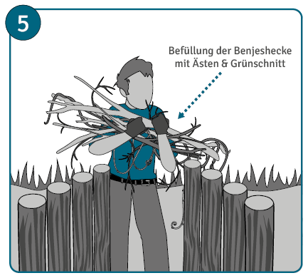 Benjeshecke anlegen Anleitung Schritt 5