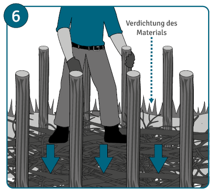 Benjeshecke anlegen Anleitung Schritt 6