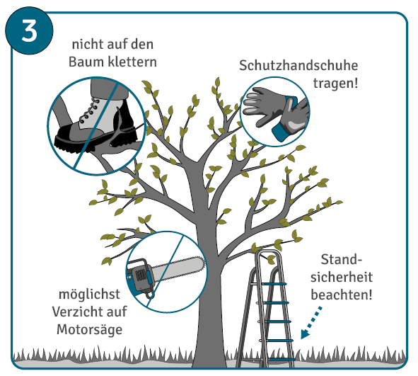 Sicherheitsmaßnahmen beim Baumschnitt